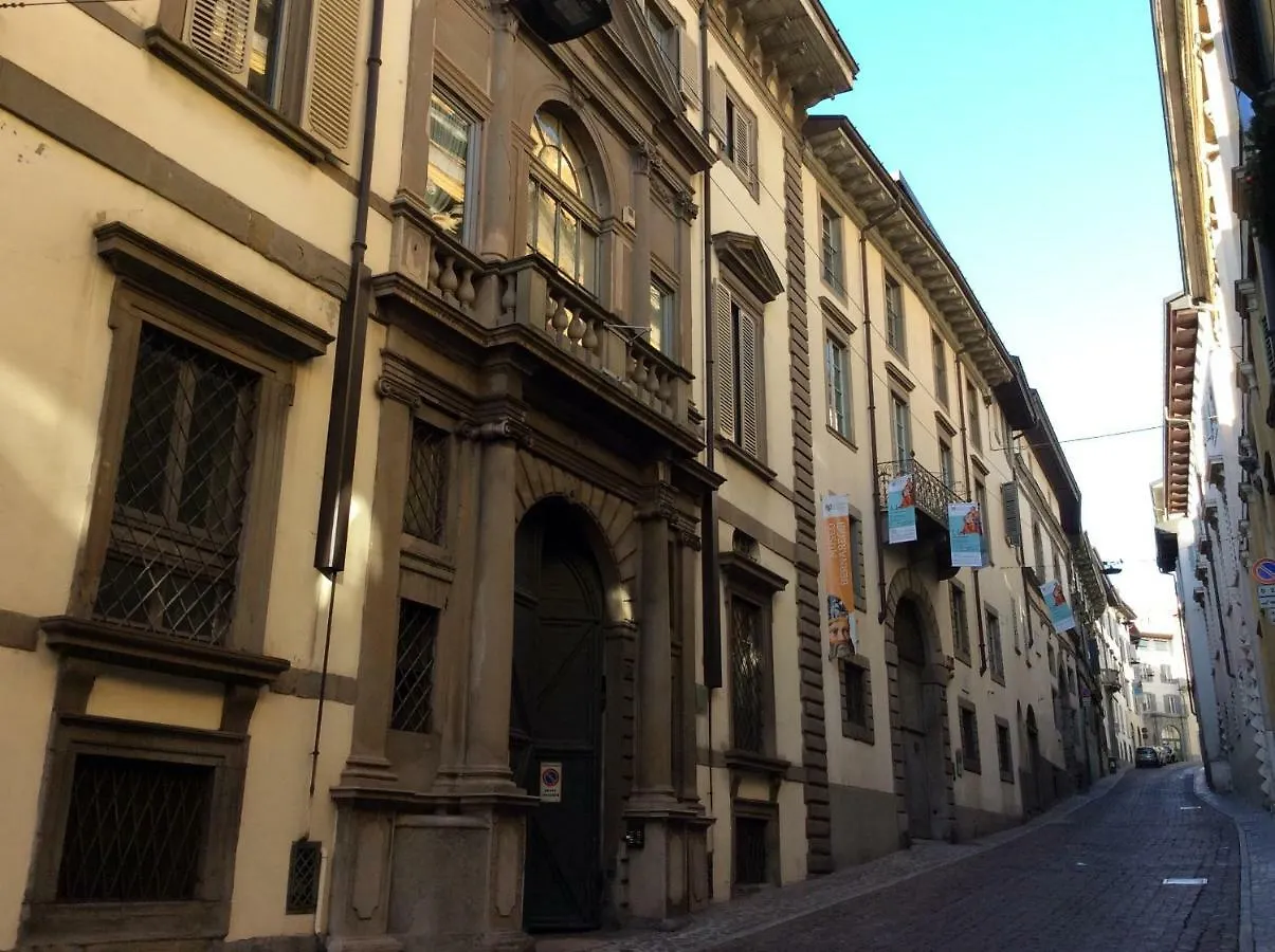 Accademia Deluxe contacts